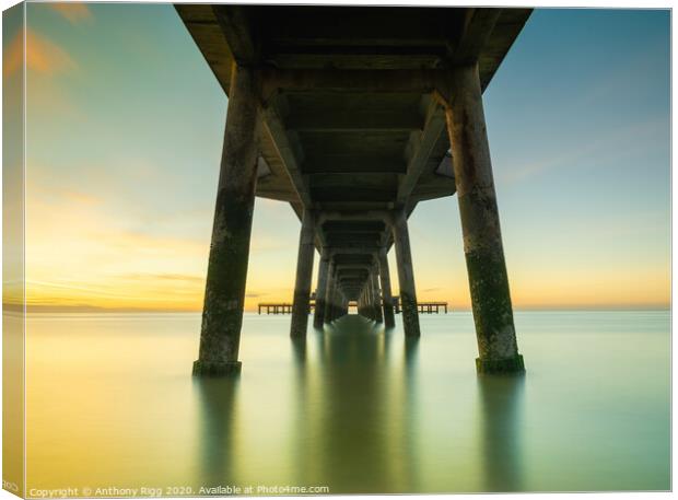 Underneath Deal Pier Canvas Print by Anthony Rigg