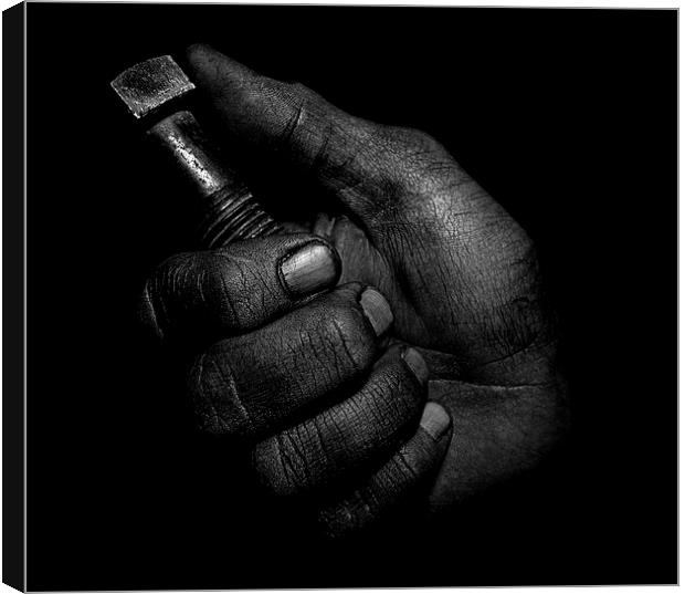  Working Hands 2 Canvas Print by Amanda Stewart