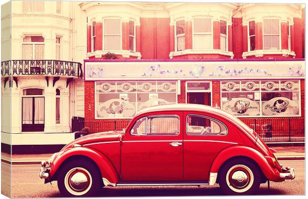 The Red Beetle Canvas Print by Lesley Mohamad