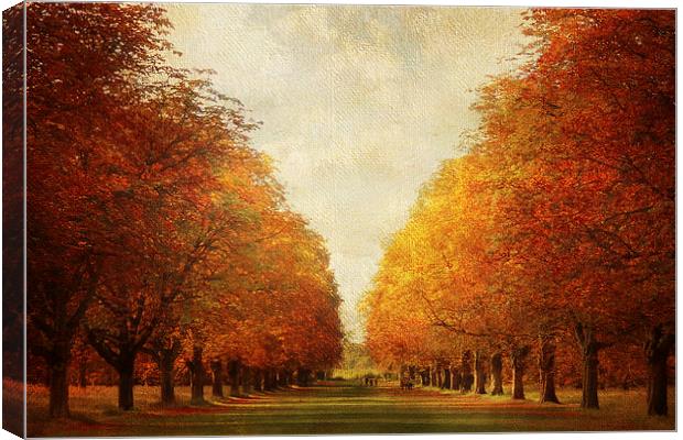 Autumn Avenue Canvas Print by Lesley Mohamad