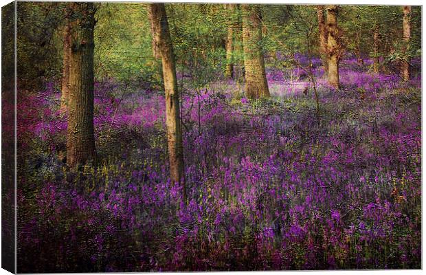 A Simple Woodland Tale Canvas Print by Lesley Mohamad