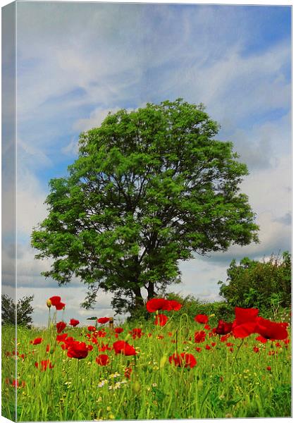 The poppy tree Canvas Print by Lesley Mohamad