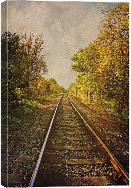 Autumn Tracks Canvas Print by Lesley Mohamad