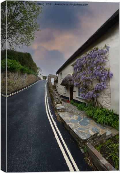 Dittisham Street Canvas Print by rawshutterbug 