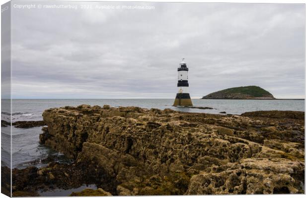 Trwyn du lighthouse and Puffin Island Canvas Print by rawshutterbug 