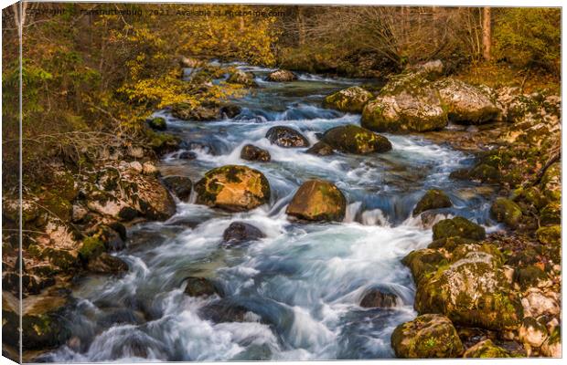 Autumn At The Loferbach  Canvas Print by rawshutterbug 