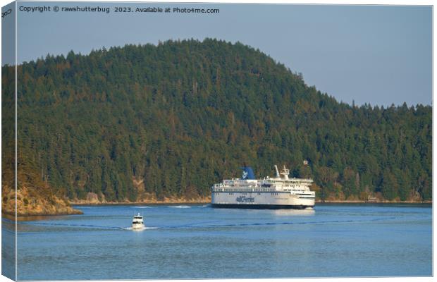 Ferry At Miners Bay BC Canvas Print by rawshutterbug 
