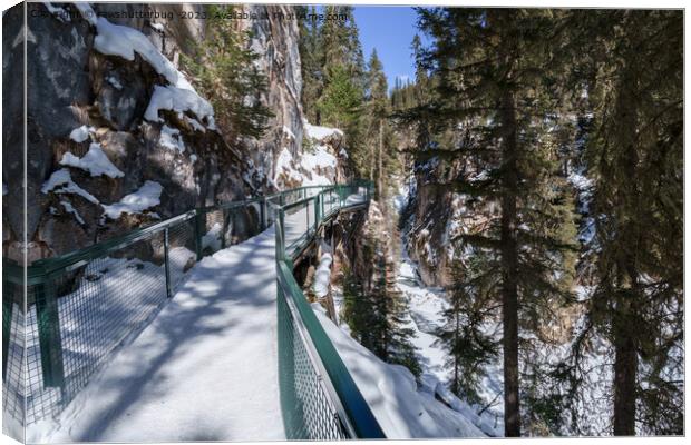 Winter's Frozen Beauty Path to Johnson Creek Upper Canvas Print by rawshutterbug 