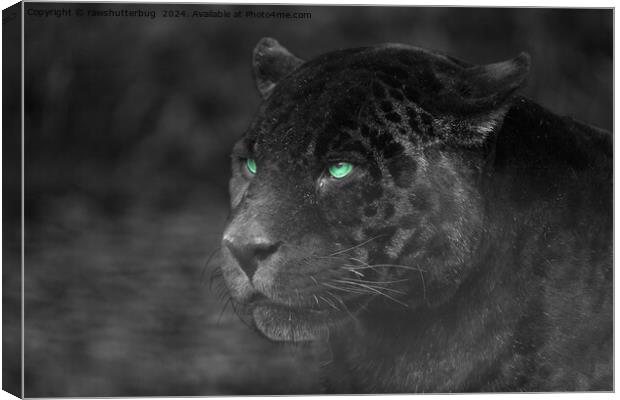 Black Jaguars Emerald Gaze Canvas Print by rawshutterbug 