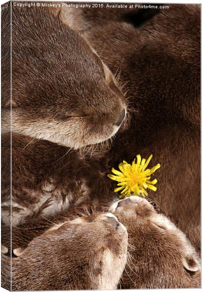 Otterly Cute Flower Power Canvas Print by rawshutterbug 