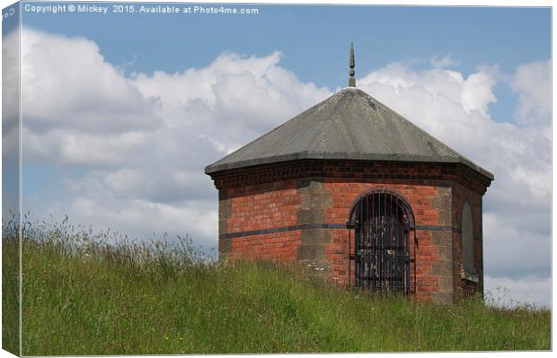 Chasewater Valve House Canvas Print by rawshutterbug 