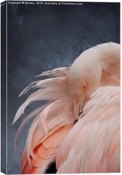 Flamingo Portrait Canvas Print by rawshutterbug 