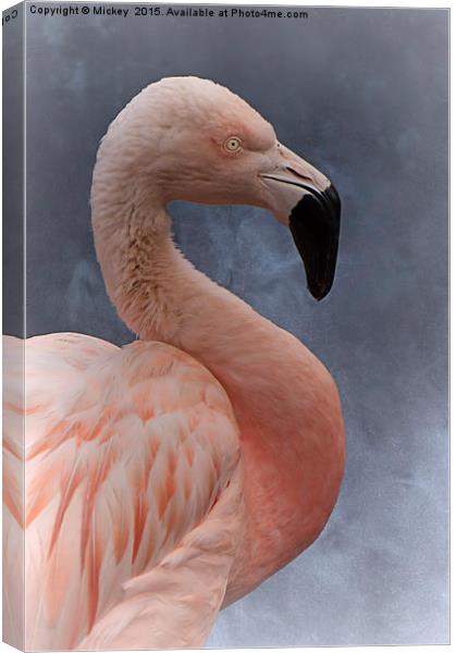 Flamingo Profile Canvas Print by rawshutterbug 