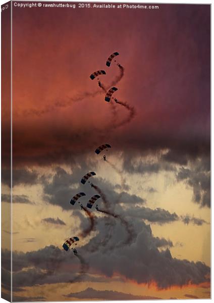Sunset Falcons Canvas Print by rawshutterbug 