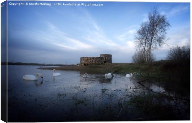 Castle At Chasewater Canvas Print by rawshutterbug 