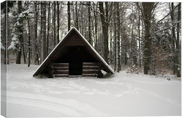 Log Hut In The Snow Canvas Print by rawshutterbug 