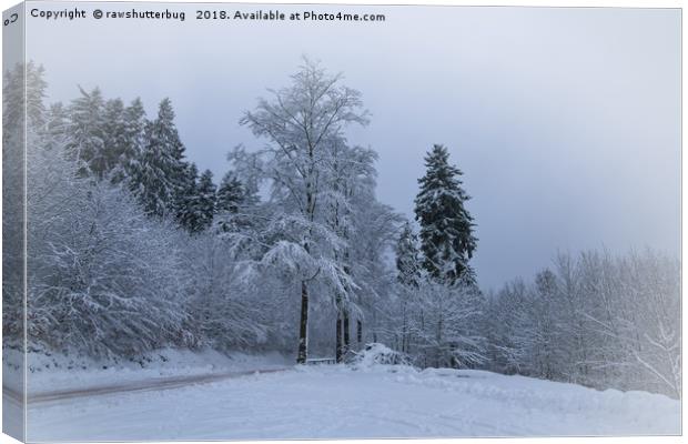 Winter Feeling Canvas Print by rawshutterbug 