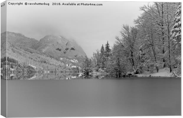 Partly Frozen Lake Bohinj Mono Canvas Print by rawshutterbug 