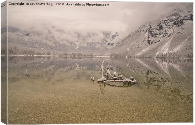 Lake Bohinj Reflection Canvas Print by rawshutterbug 