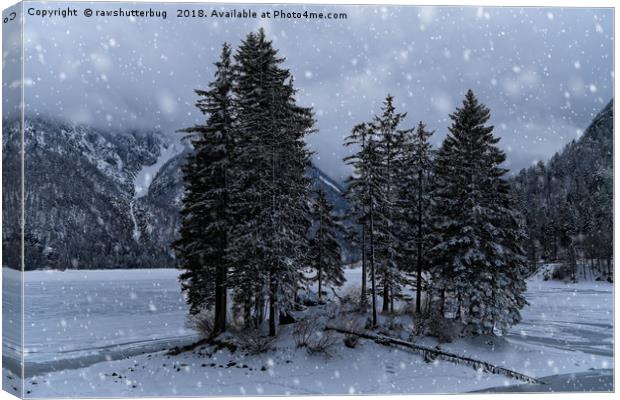 Trees At The Frozen Lago del Predil Canvas Print by rawshutterbug 