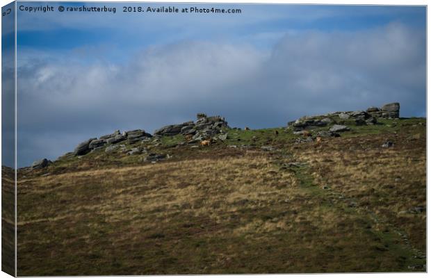 Grimspound Canvas Print by rawshutterbug 