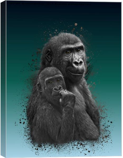Gorilla Brothers Canvas Print by rawshutterbug 