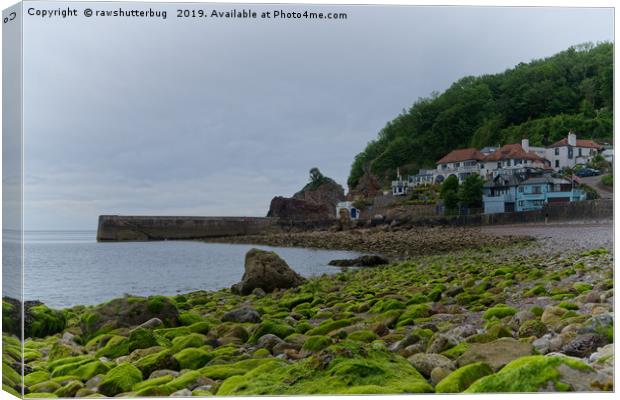 Babbacombe Beach Canvas Print by rawshutterbug 