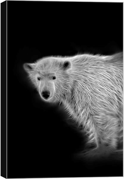 Polar Bear Cub Canvas Print by rawshutterbug 