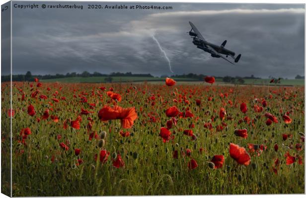 Lancaster Bomber Over A Poppy Field With Lightning Canvas Print by rawshutterbug 