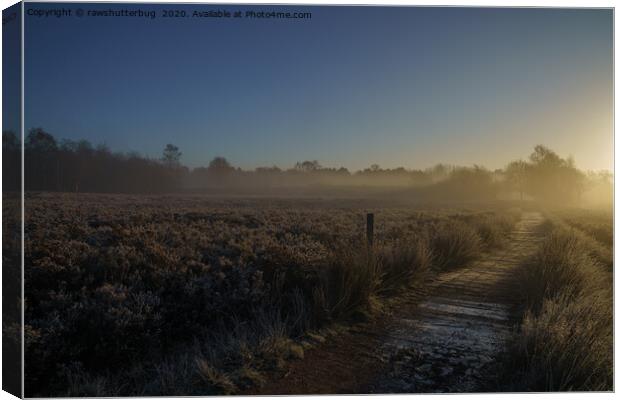 Frosty Morning At Chasewater Country Park Canvas Print by rawshutterbug 
