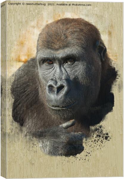 Gorilla Lope Close-Up Canvas Print by rawshutterbug 