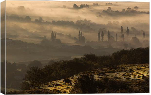 Mist over the levels Canvas Print by adam rumble
