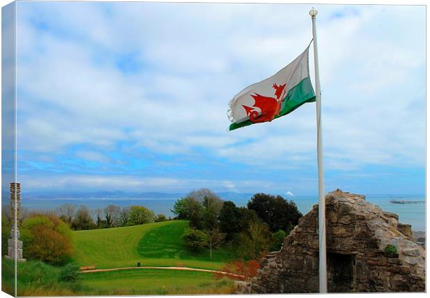 Beautiful Welsh Flag Canvas Print by Kayleigh Meek