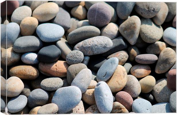 Pebbles Canvas Print by Kayleigh Meek