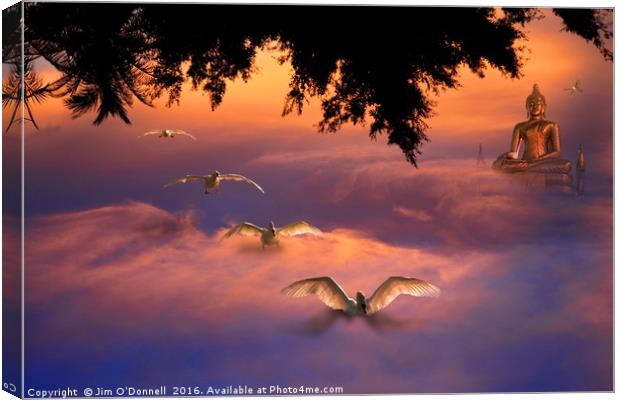 Abstract Swans landing in the clouds Canvas Print by Jim O'Donnell