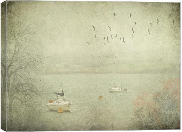 Misty Morning on the Camel Estuary Canvas Print by Jenni Cheesman
