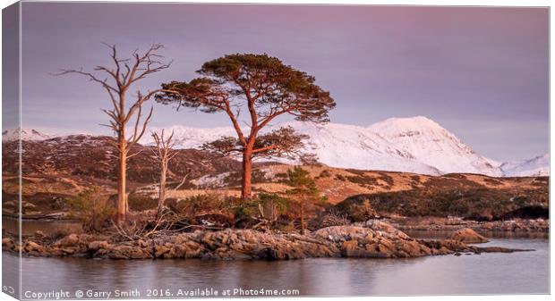 Evening Light at Loch Assynt. Canvas Print by Garry Smith
