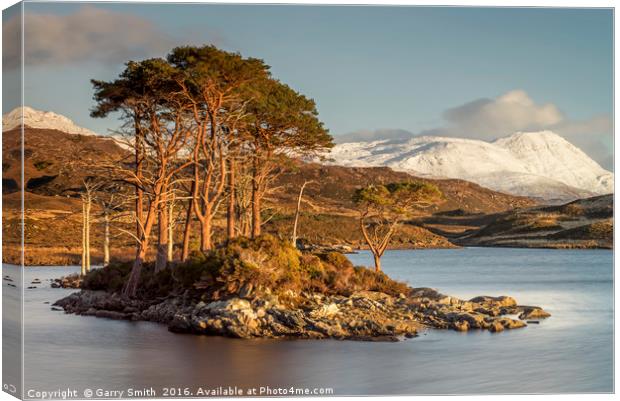 Island Life. Loch Assynt, Sutherland. Canvas Print by Garry Smith
