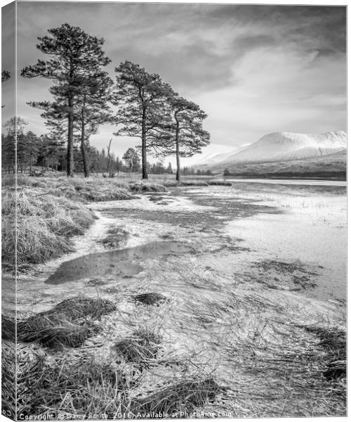 Scots and Ice. Canvas Print by Garry Smith