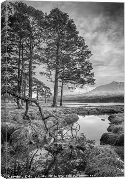 Winter's View (mono) Canvas Print by Garry Smith