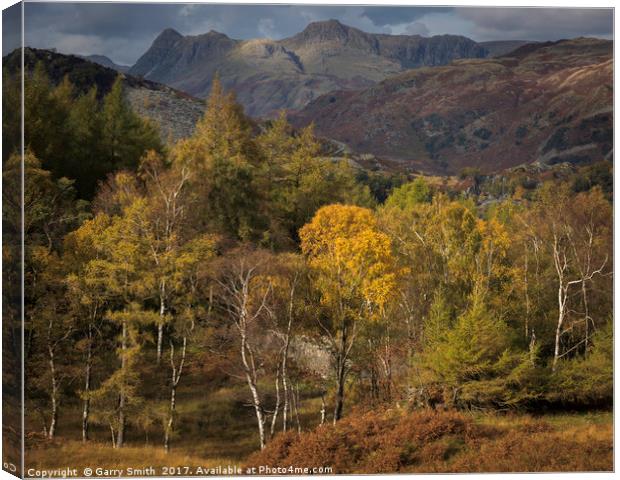 Langdale Pikes from Holme Fell Canvas Print by Garry Smith