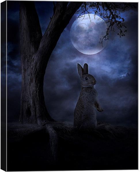 Moon Rabbit Canvas Print by Martin Maran