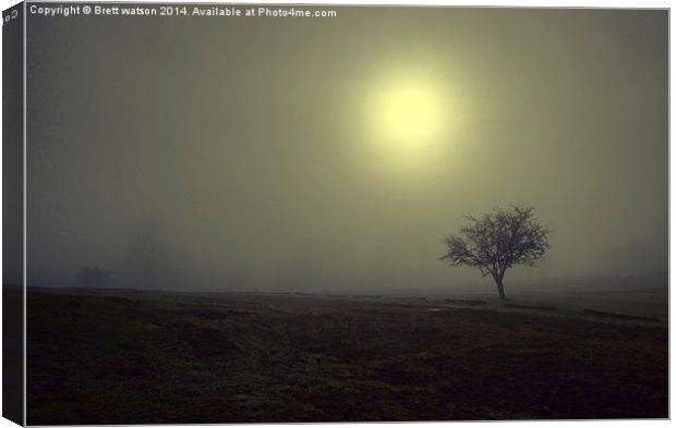  the mist at knole park Canvas Print by Brett watson
