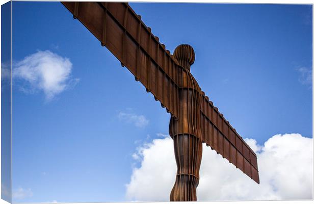 Angel of the North Canvas Print by I Burns