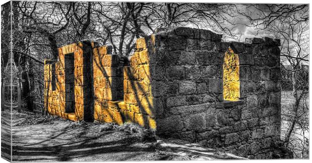 Sunlit Ruin Canvas Print by Mike Stephen