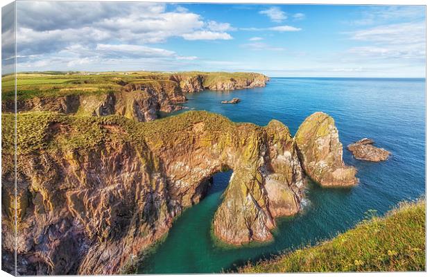 Bullers of Buchan 1 Canvas Print by Mike Stephen