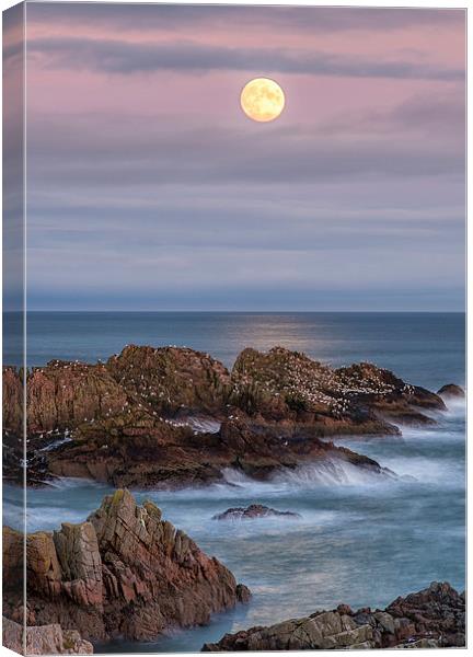 Moonrise Canvas Print by Mike Stephen