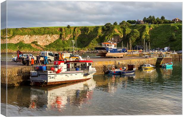 Stonehaven Harbour Canvas Print by Mike Stephen
