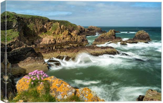 Coastline, NE Scotland Canvas Print by Mike Stephen