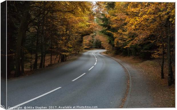 Autumn Drive Canvas Print by Mike Stephen